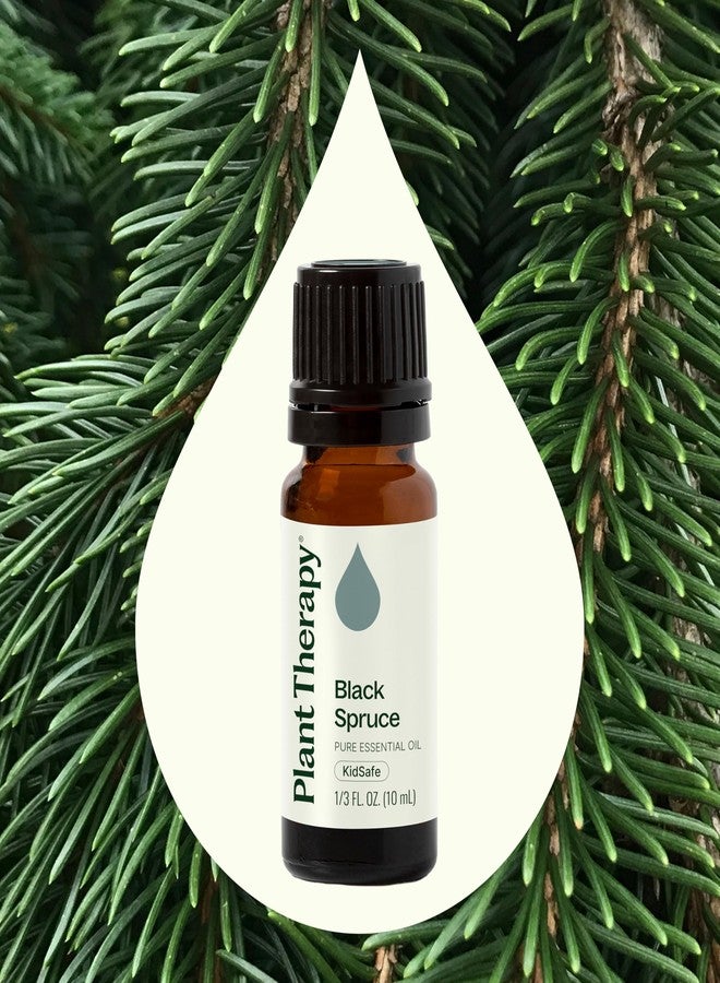 Plant Therapy Black Spruce Essential Oil 10 mL (1/3 oz) 100% Pure, Undiluted, Therapeutic Grade - Image 2